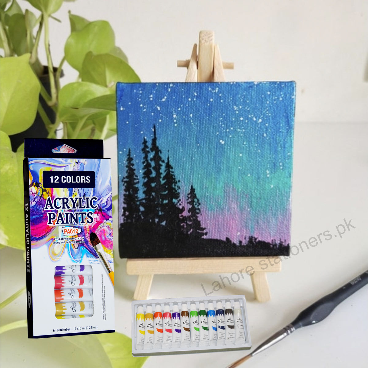 Acrylic Tube Colours 12ml Acrylic Paint Set 12 Shades