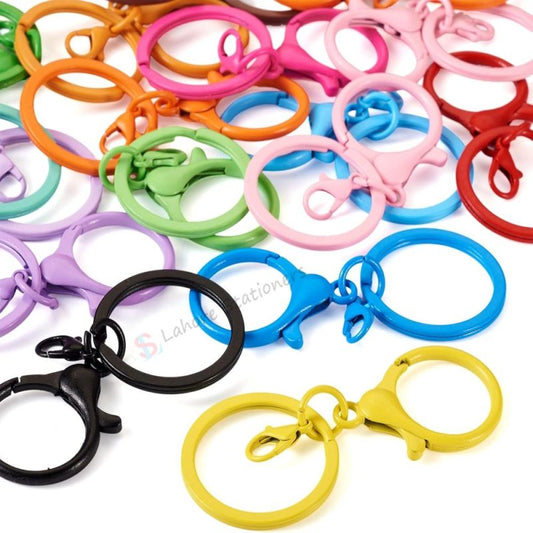 Colorful Iron Keychain with Snap Hook Carry