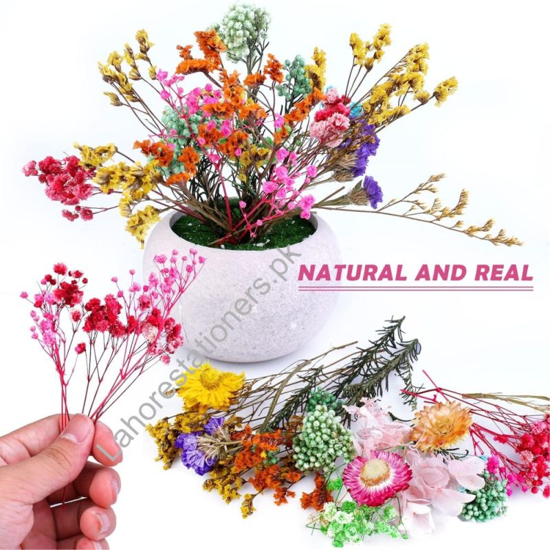 Natural Dry Flower for Resin Art and Candle Making Decorations