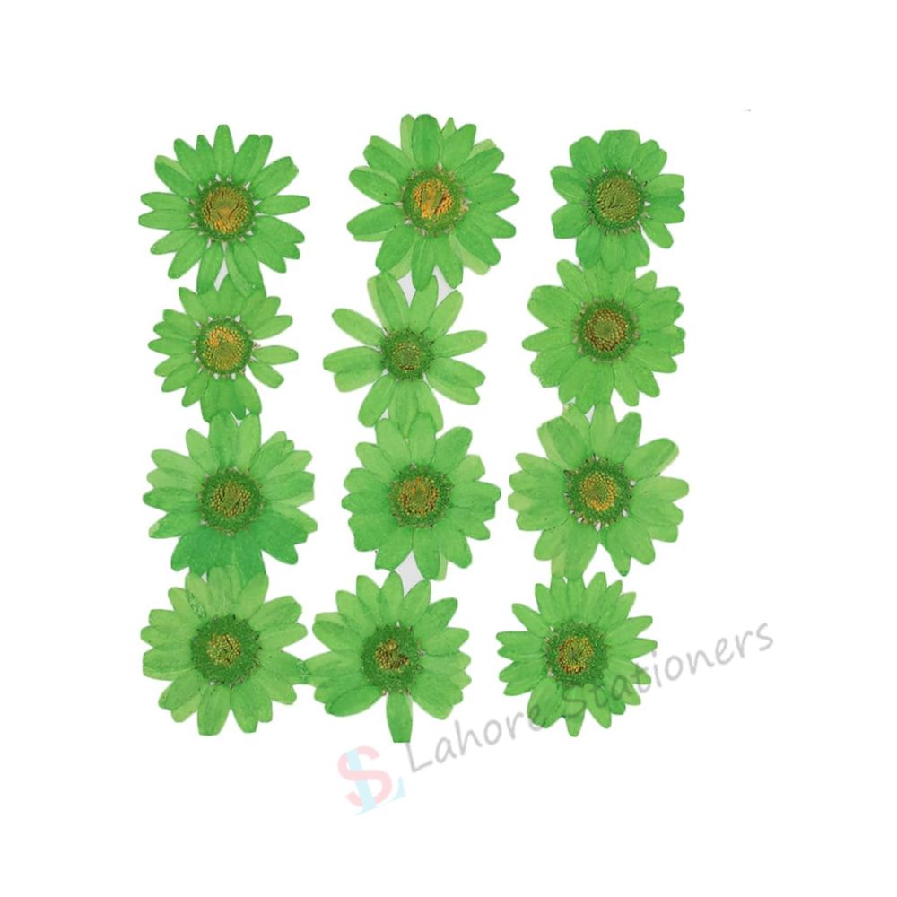 Pressed Flowers Green (Single Color Pack) for Candle Decoration