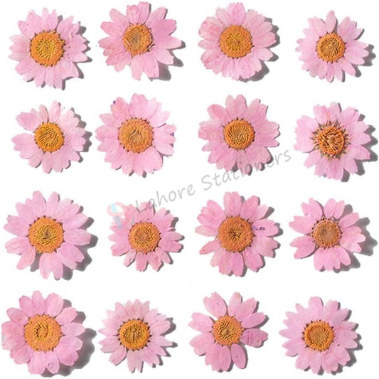 Pressed Flowers Single color pack