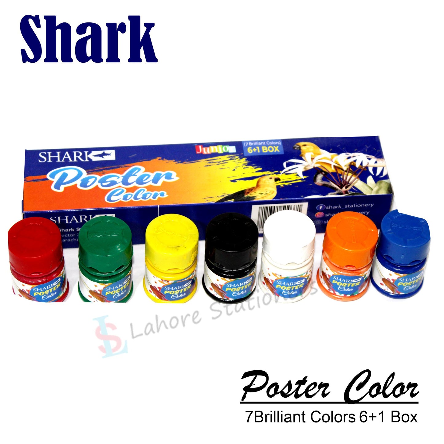 Shark Poster Color Junior