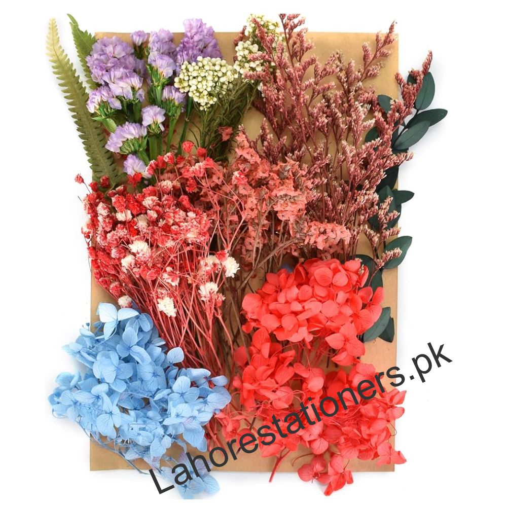 Dry Flower for Resin Mixed Multicolor Pack A5 Size