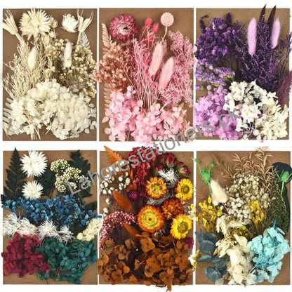Dry Flower for Resin Mixed Multicolor Pack A5 Size