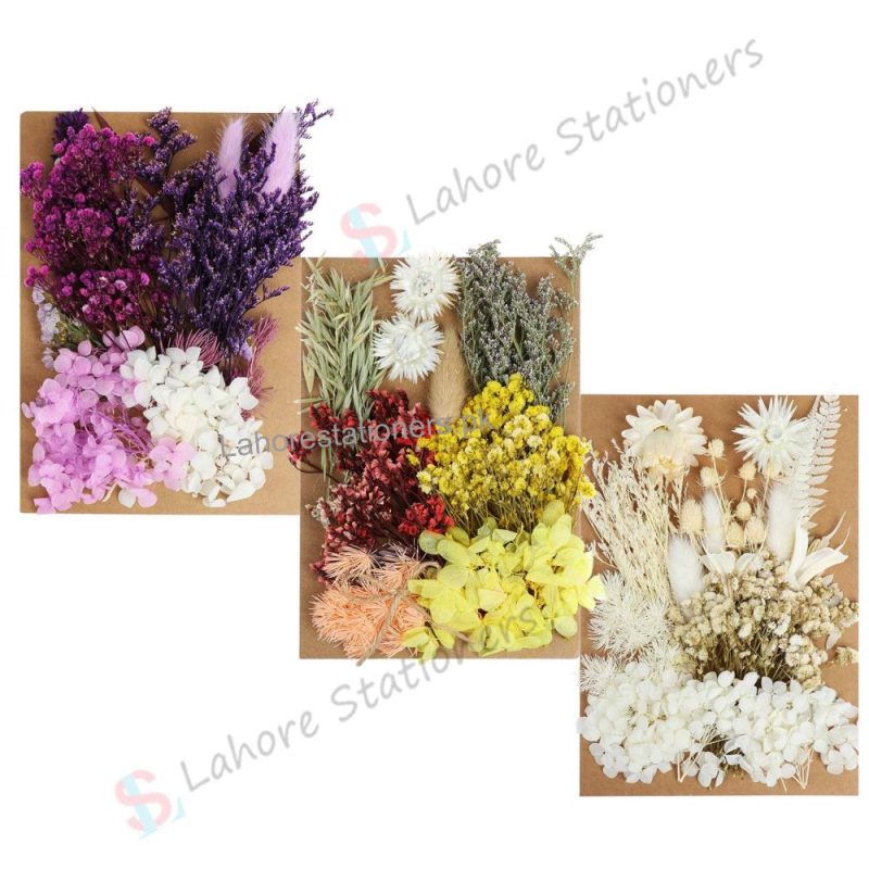 Dry Flower for Resin Mixed Multicolor Pack A5 Size