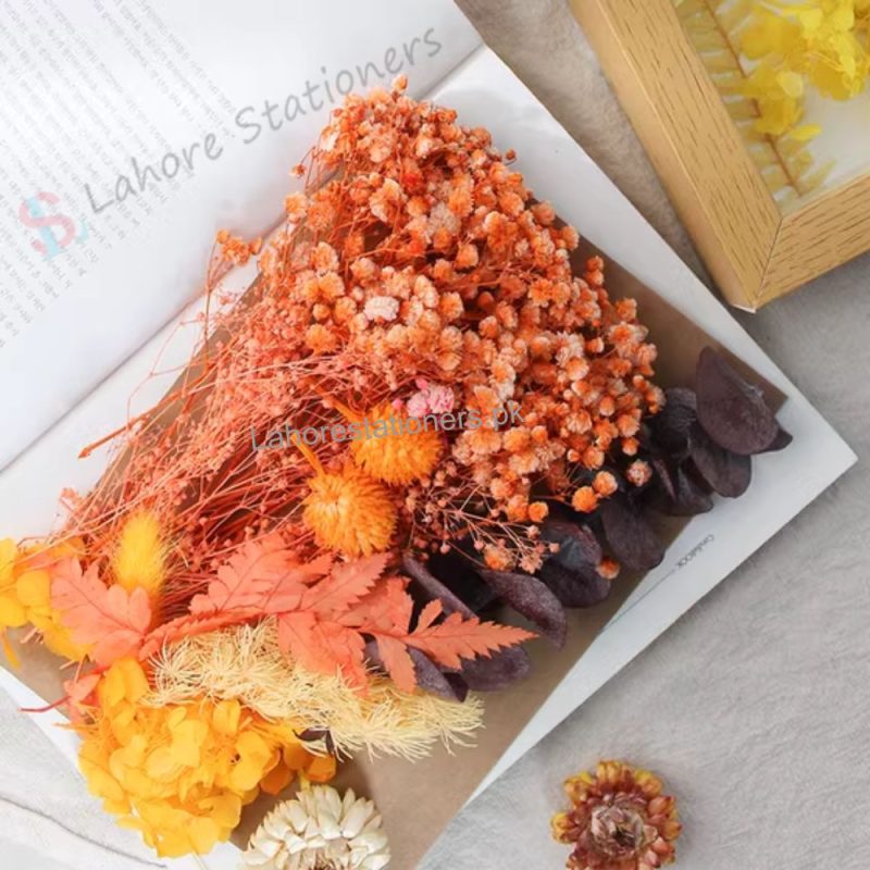 Dry Flower for Resin Mixed Multicolor Pack A5 Size