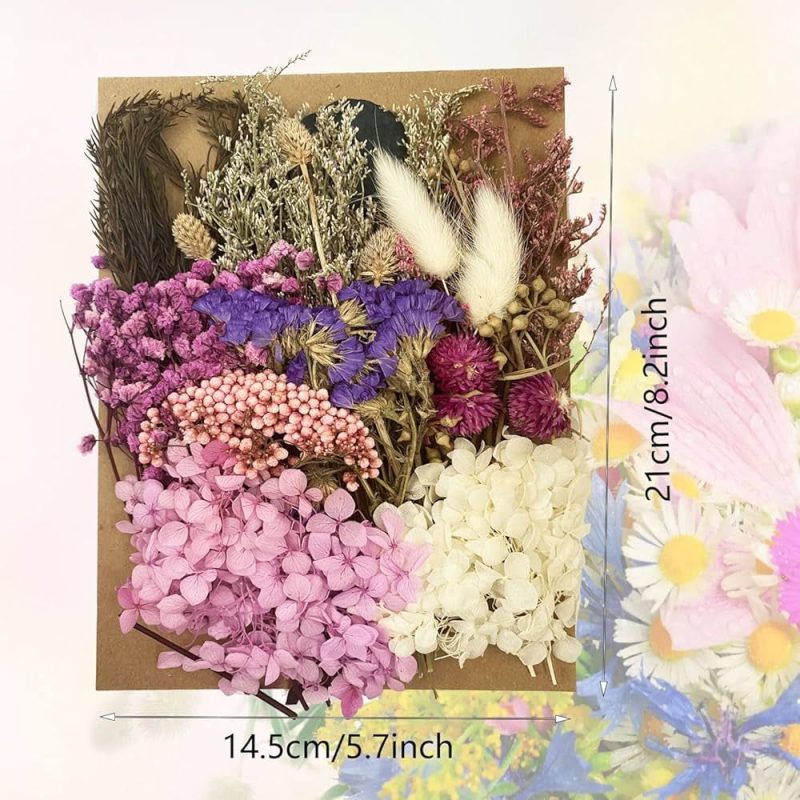 Dry Flower for Resin Mixed Multicolor Pack A5 Size