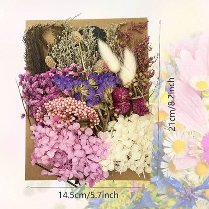 Dry Flower for Resin Mixed Multicolor Pack A5 Size