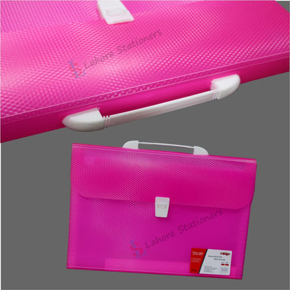 Expanding File Folder Documents Bag Large A4 Size with Carry Handle 12 Pockets Plastic Sheet