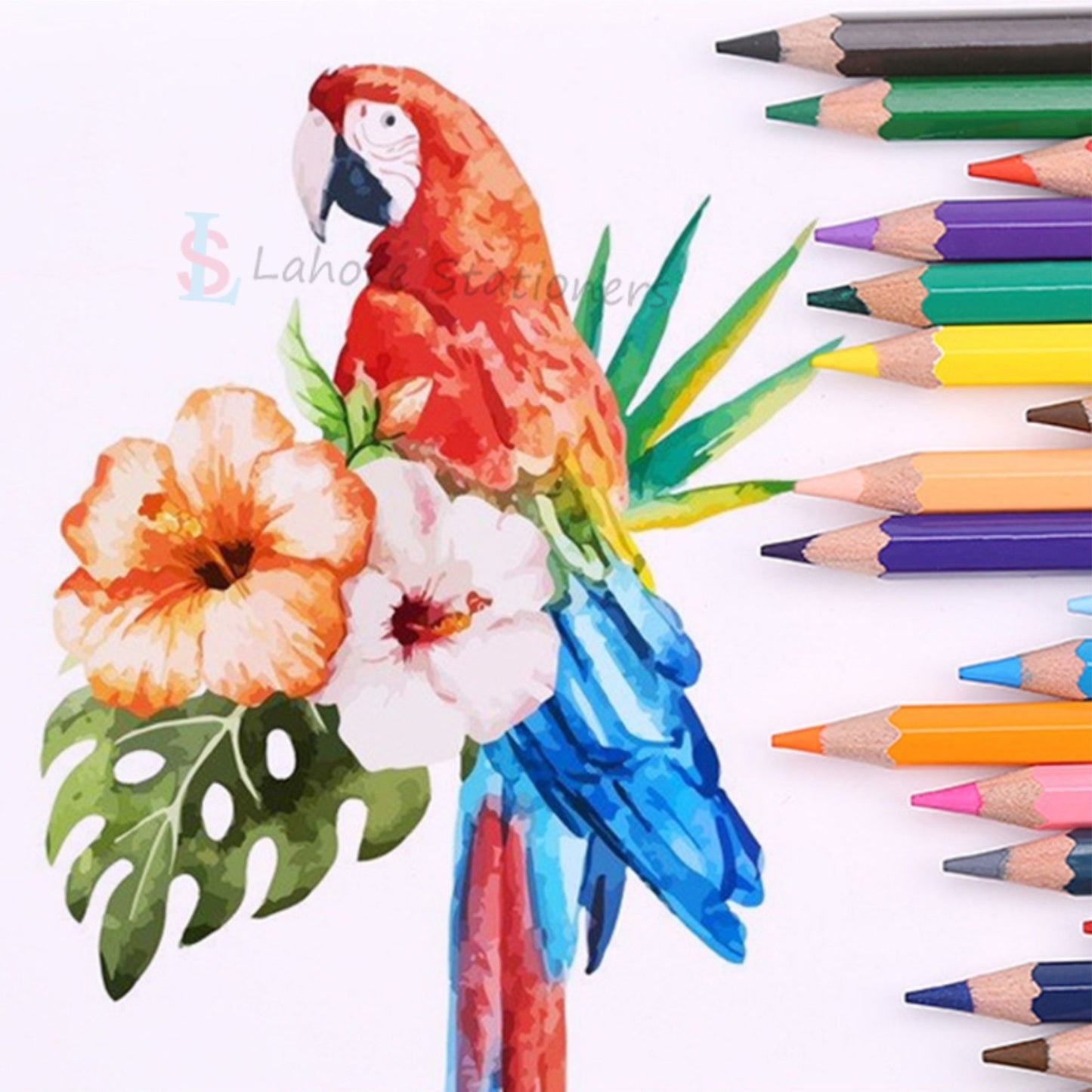 Faber Castell Watercolors Pencils