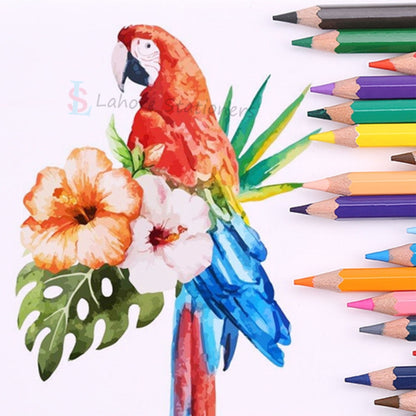 Faber Castell Watercolors Pencils