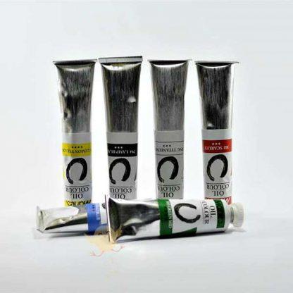 Marie's Oil Color Set Professional Artist Oil Paints Rich & High Pigment