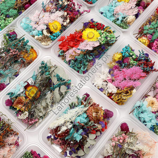 Natural Dry Flower for Resin Art and Candle Making Decorations