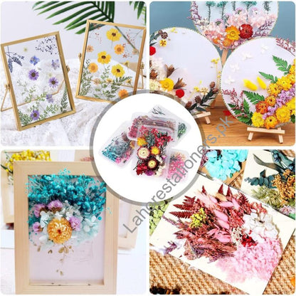 Natural Dry Flower for Resin Art and Candle Making Decorations