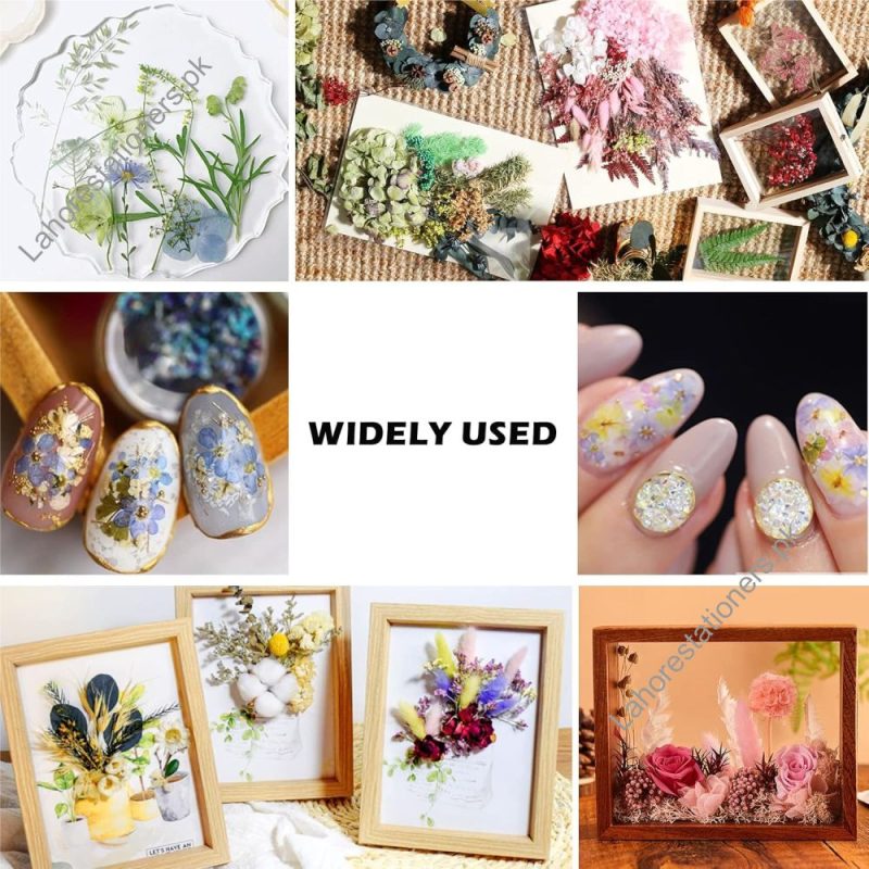 Dry Flower for Resin Mixed Multicolor Pack A5 Size