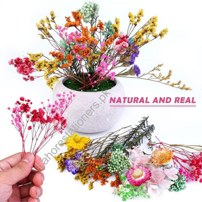 Natural Dry Flower for Resin Art and Candle Making Decorations