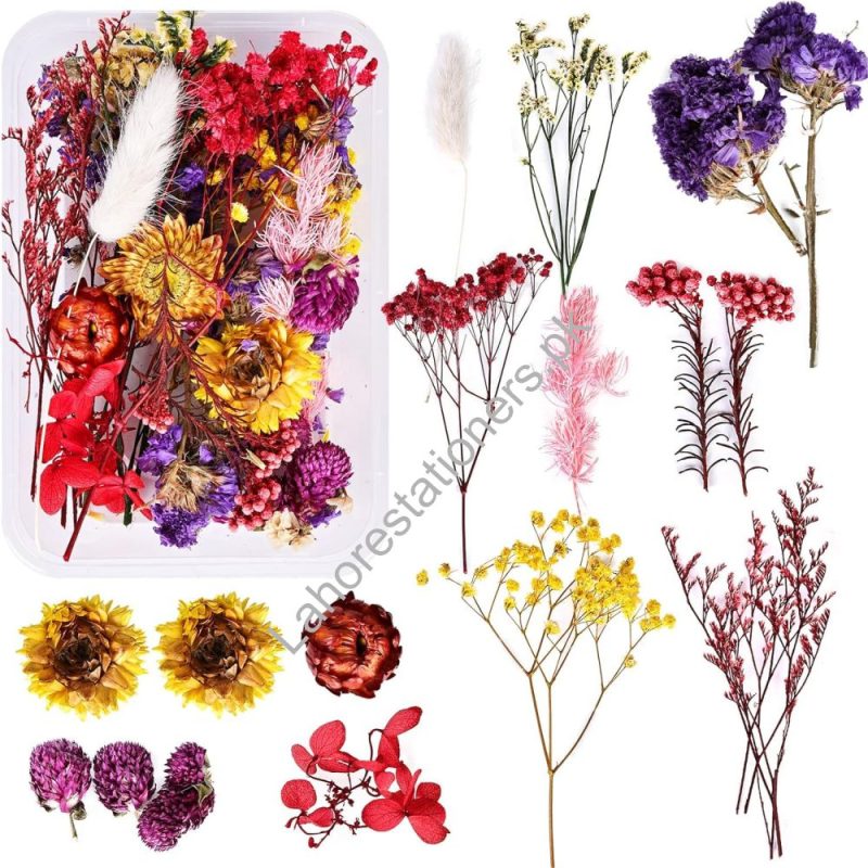 Natural Dry Flower for Resin Art and Candle Making Decorations