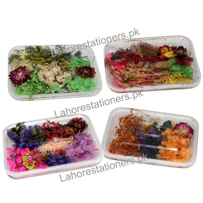 Natural Dry Flower for Resin Art and Candle Making Decorations