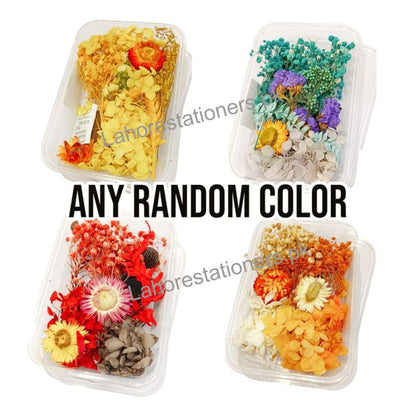 Natural Dry Flower for Resin Art and Candle Making Decorations