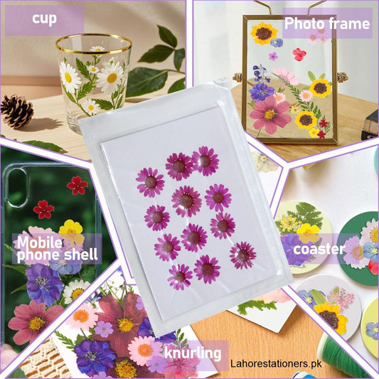 Pressed Flowers Single color pack