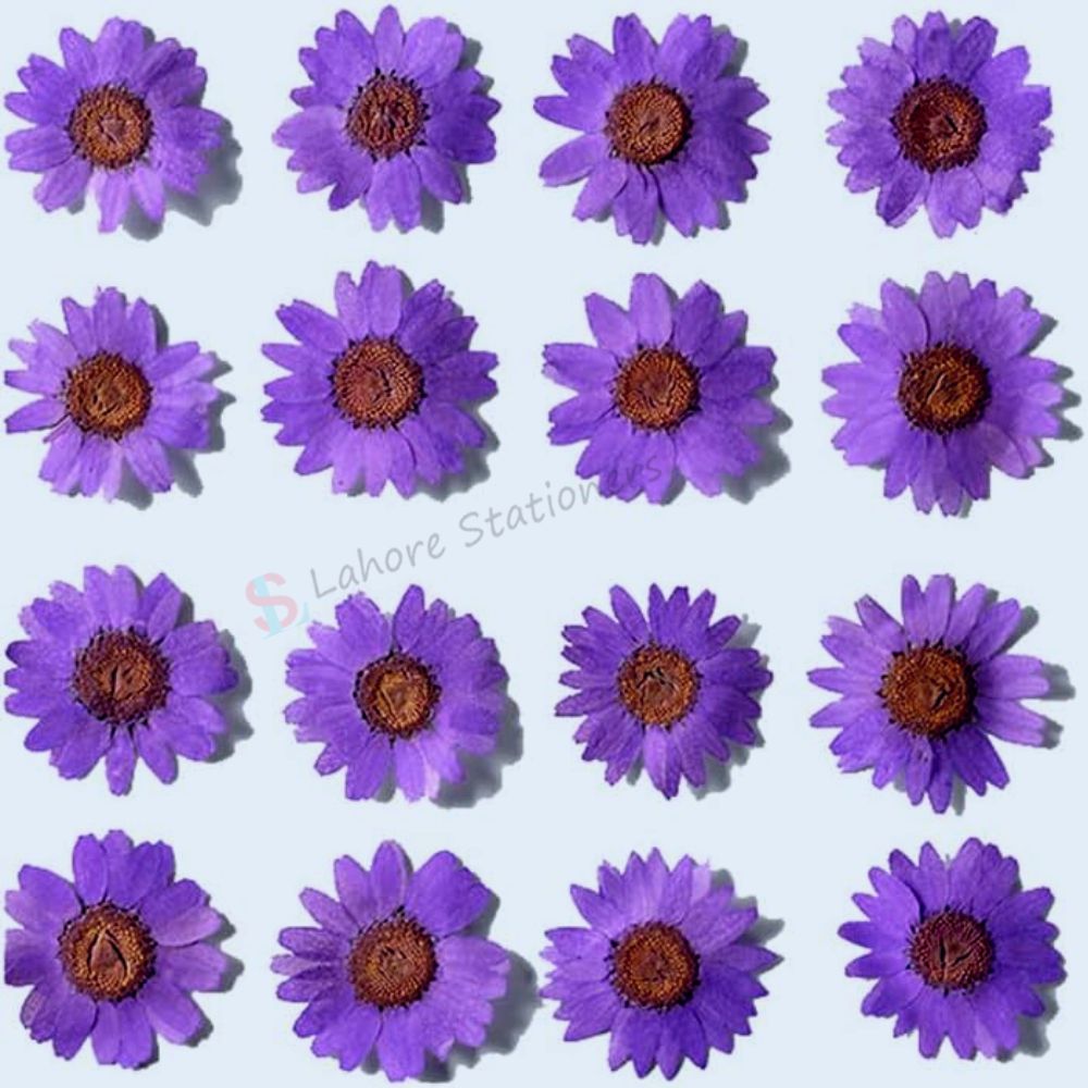 Pressed Flowers Single color pack