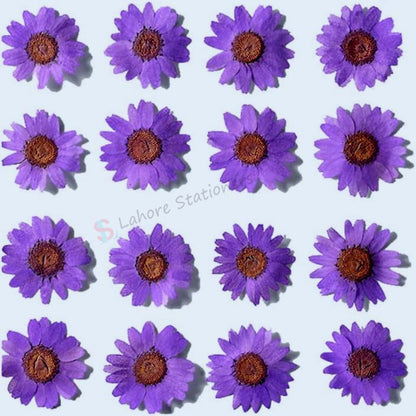 Pressed Flowers Single color pack