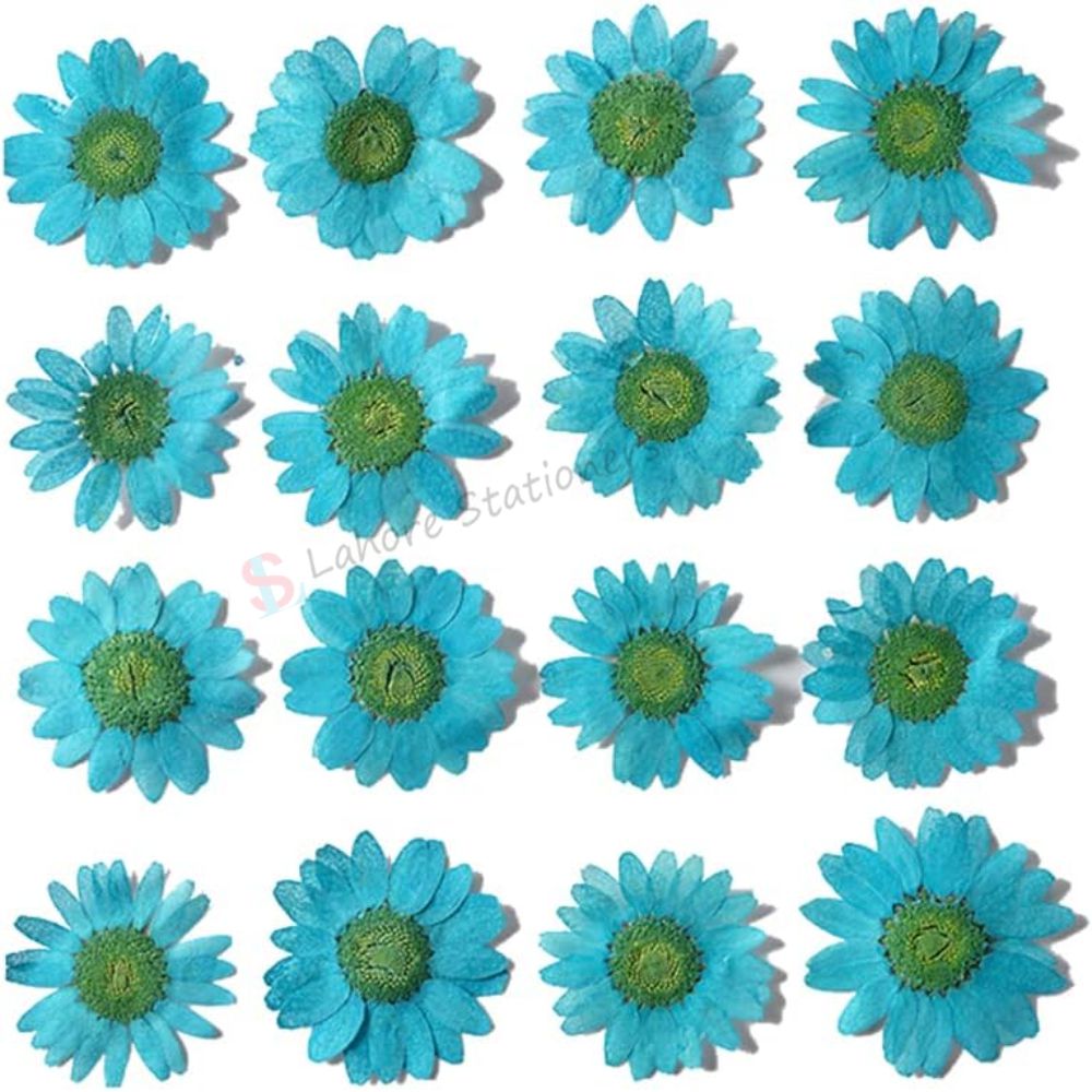 Pressed Flowers Prussian Blue (Single Color Pack) for Candle Decoration