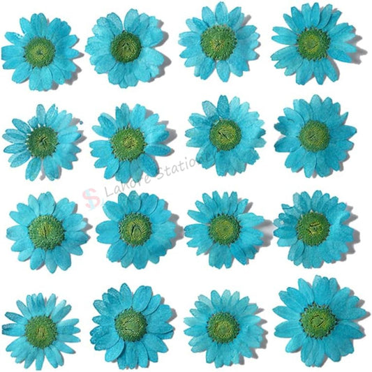 Pressed Flowers Prussian Blue (Single Color Pack) for Candle Decoration