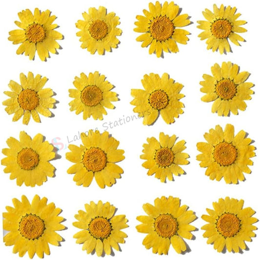 Pressed Flower Yellow (Single Color Pack) for Candle Decoration