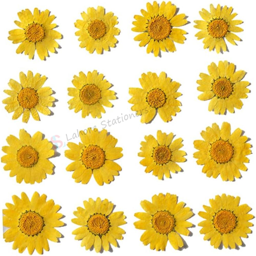 Pressed Flowers Single color pack