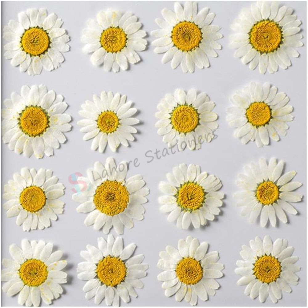 Pressed Flowers Single color pack
