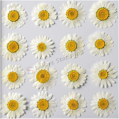 Pressed Flowers Single color pack