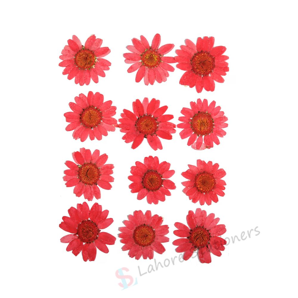 Pressed Flowers – Red (Single Color Pack) for Candle Decoration