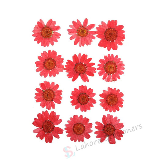 Pressed Flowers – Red (Single Color Pack) for Candle Decoration