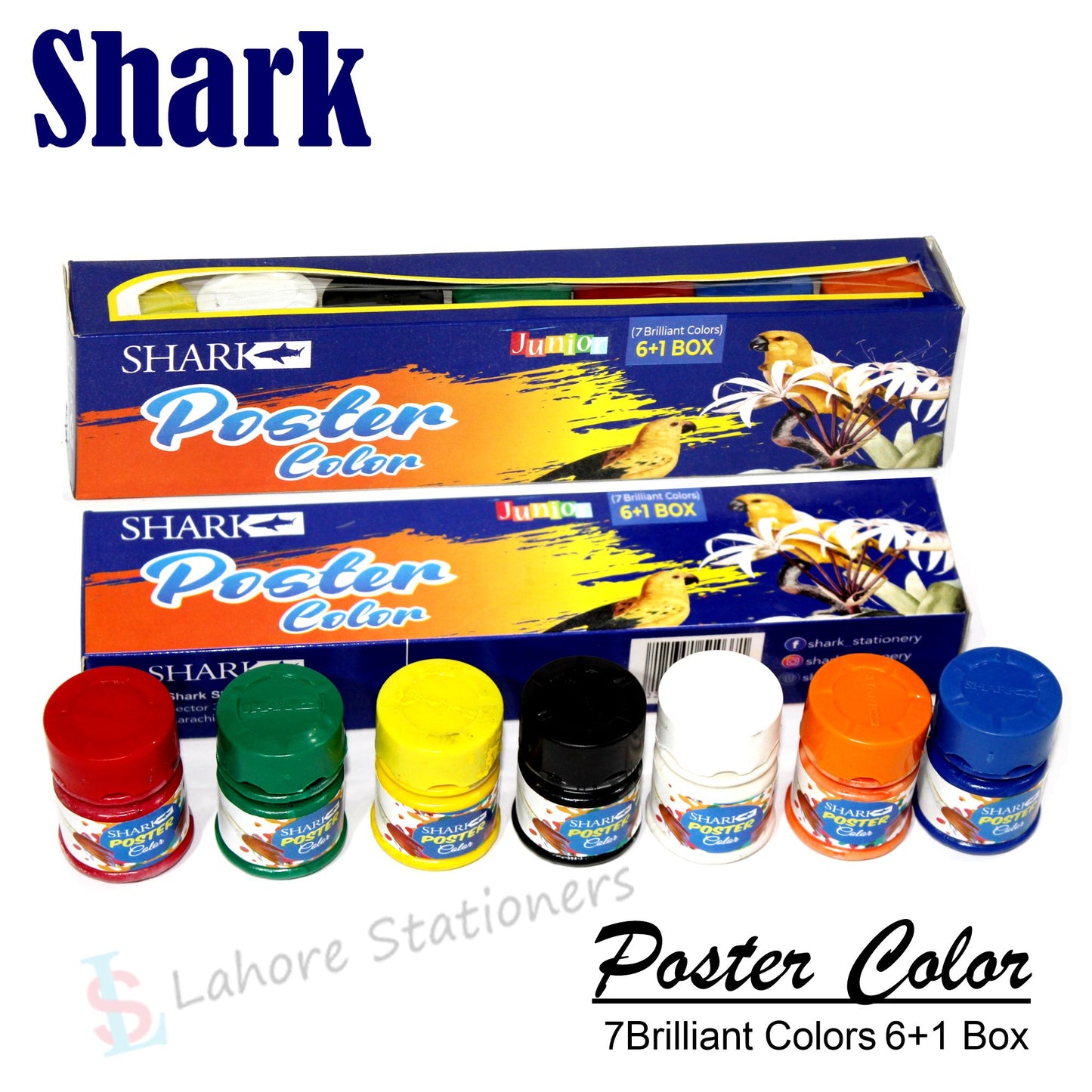 Shark Poster Color Junior