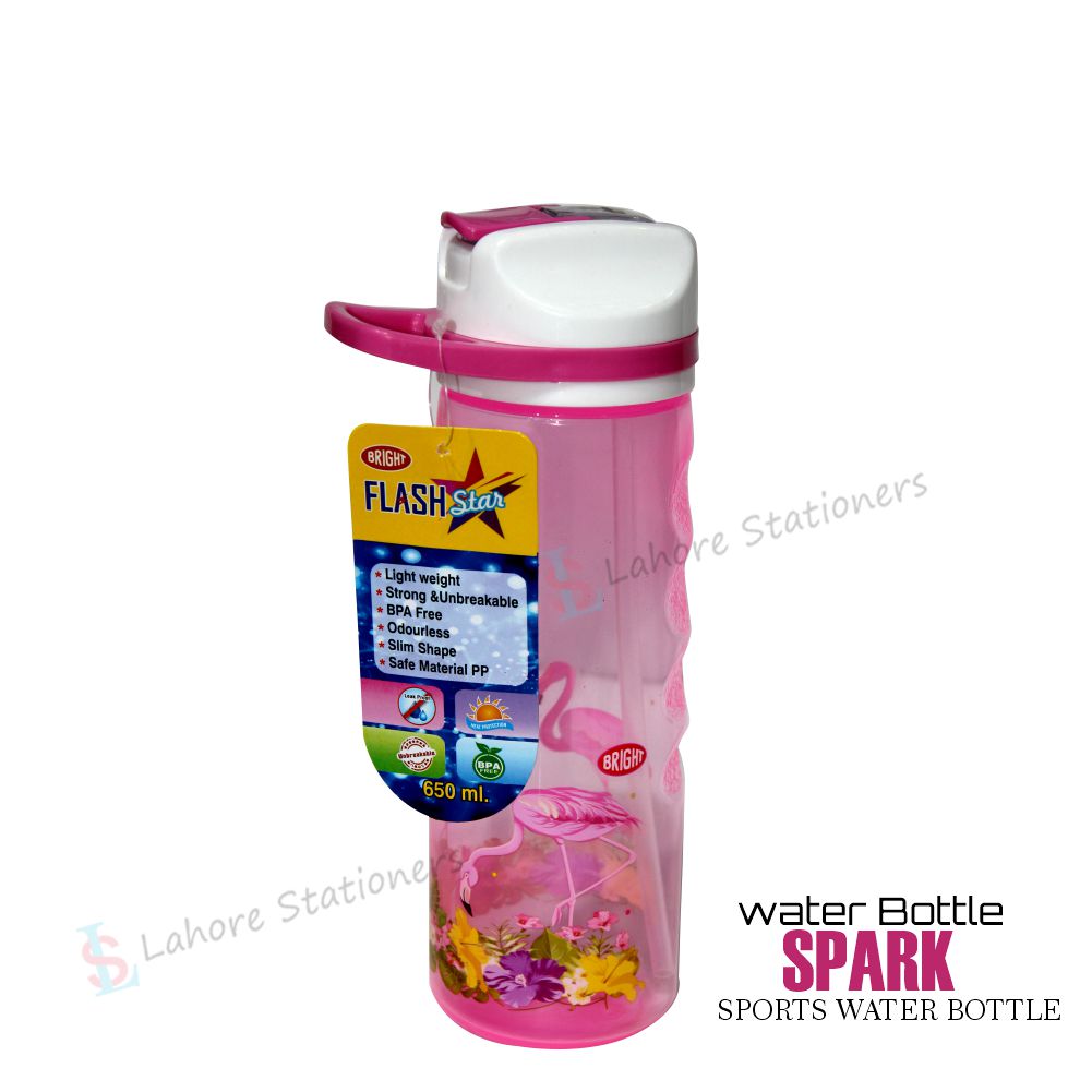 Water Bottle Spark 650ml